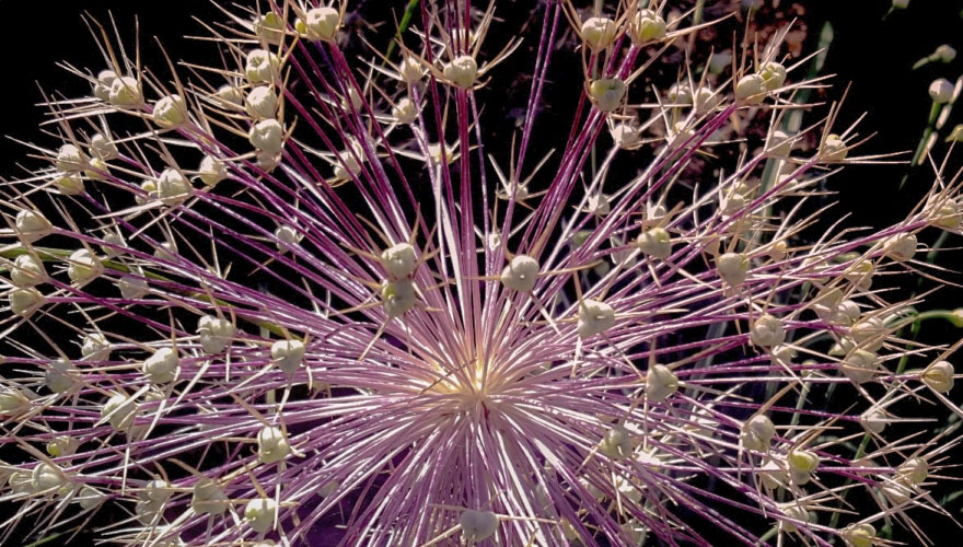 3 fallacies of B2B marketing image