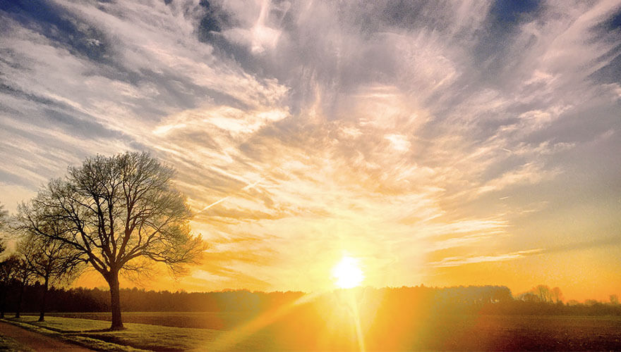 How to measure ABM: The rise of MQAs as meaningful metrics image