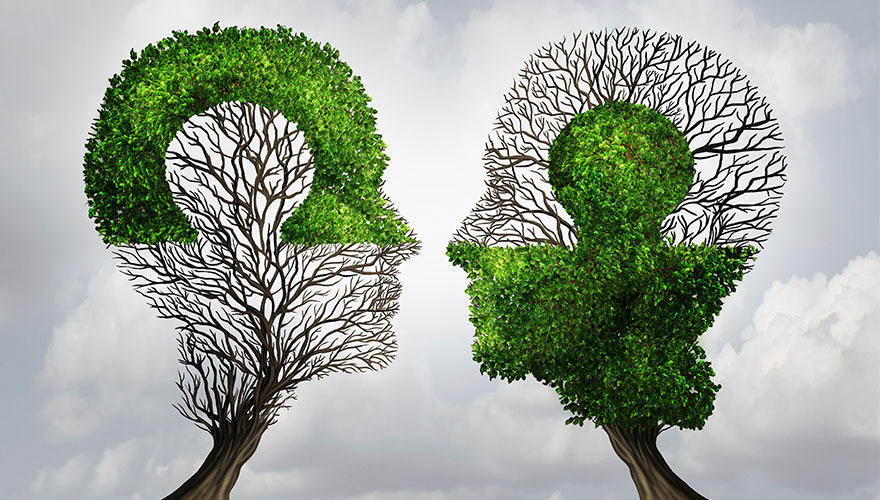 How to: Put data at the heart of content image