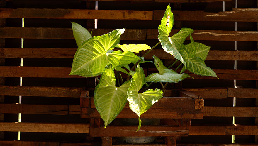 Mergers and acquisitions market set for growth surge image