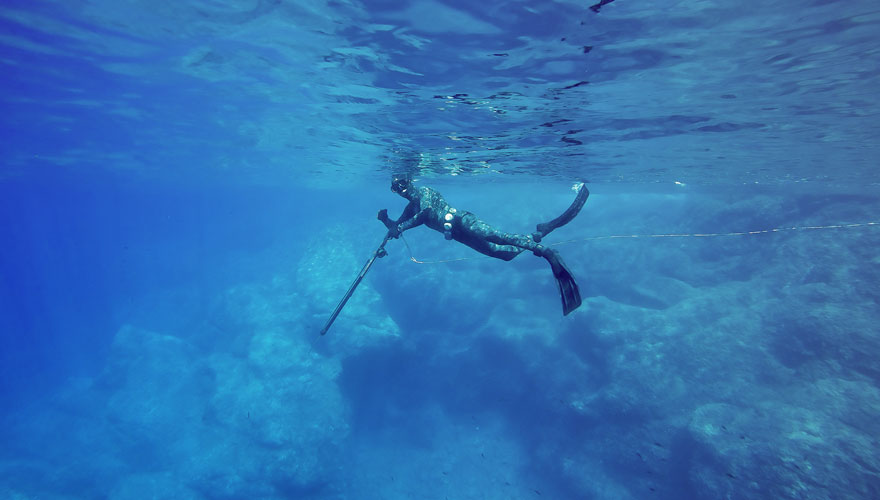 Diver spear-fishing image