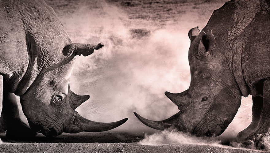 Taking on the tech vendors: A new breed of marketing agency image