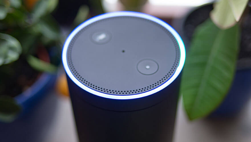 The impact of speech recognition technology on B2B marketing – Amazon Echo surrounded by flowers image