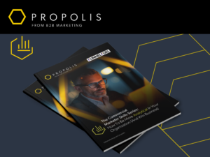 Analytical Skills Guide