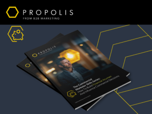 Propolis Financial Acumen Report