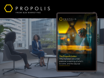 Report Graphic – Website Propolis Index Report