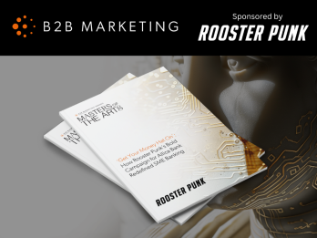 Rooster Punk Award Winning Case Study Rooster Punk Award Winning Case Study
