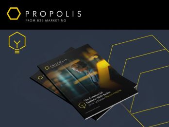 insight-skills-report B2B market insights